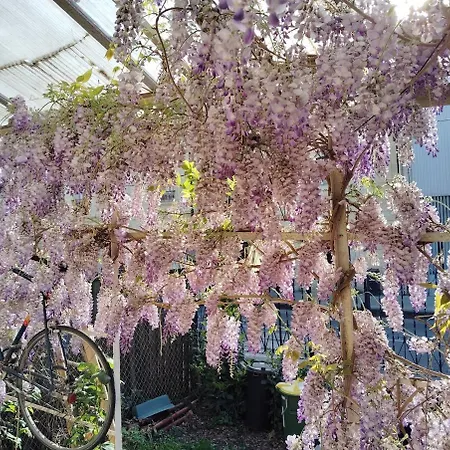 Pretty House Σπίτι διακοπών *